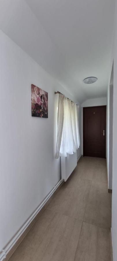 Cusali Pensiune Topolovatu Mare Luaran gambar